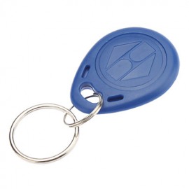 20 Pcs Writeble RFID Keychain Card(Fob Tag EM Format)